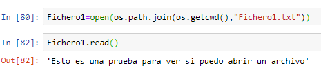 abrir y leer fichero python